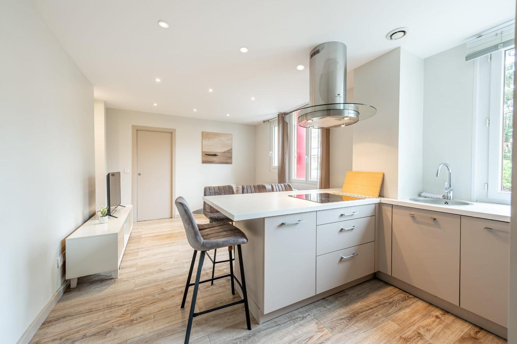 Rio Appartement Au Centre Ville Annecy Bagian luar foto