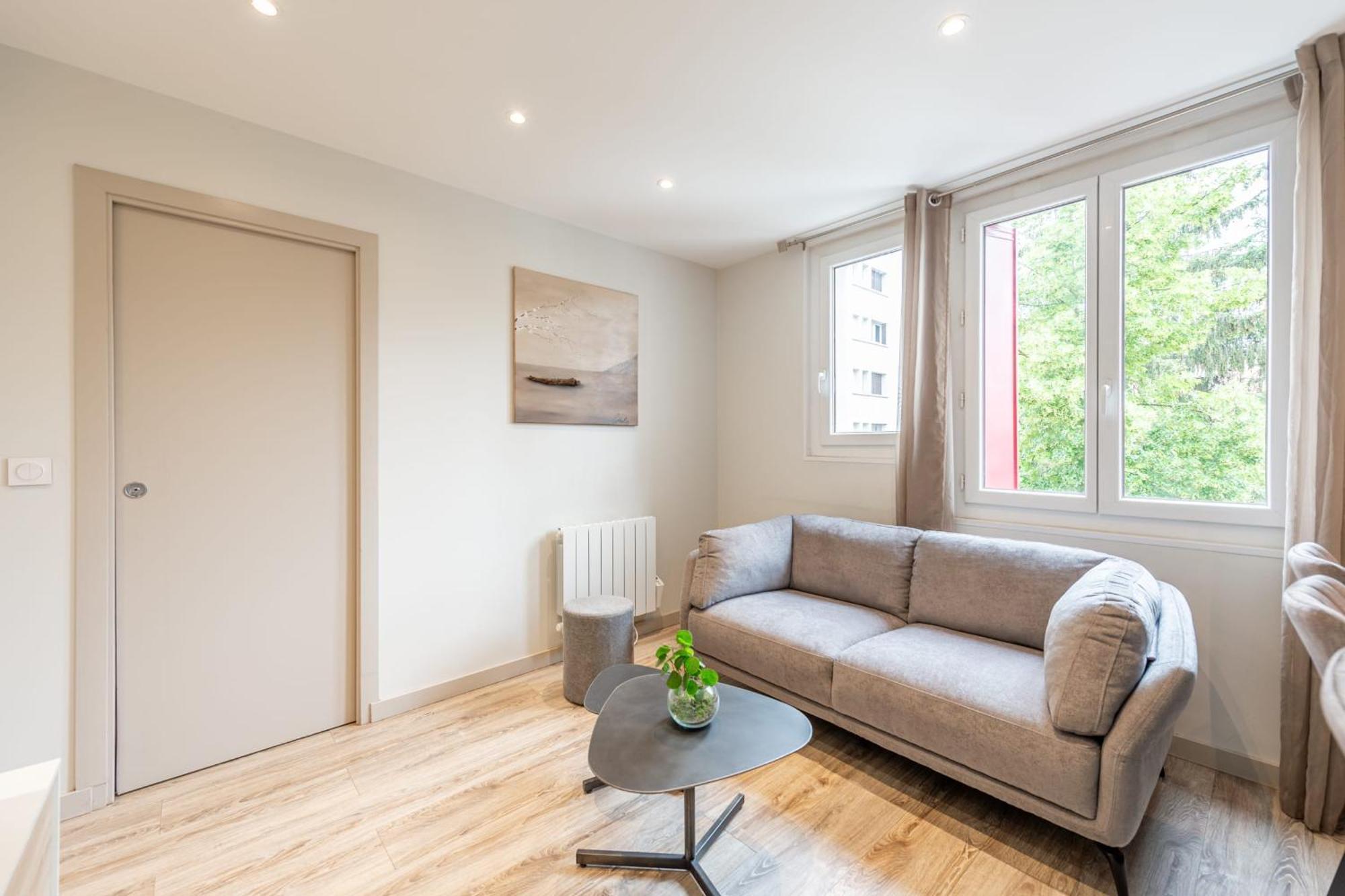 Rio Appartement Au Centre Ville Annecy Bagian luar foto
